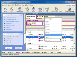 EASEUS Partition Master: Format Partition
